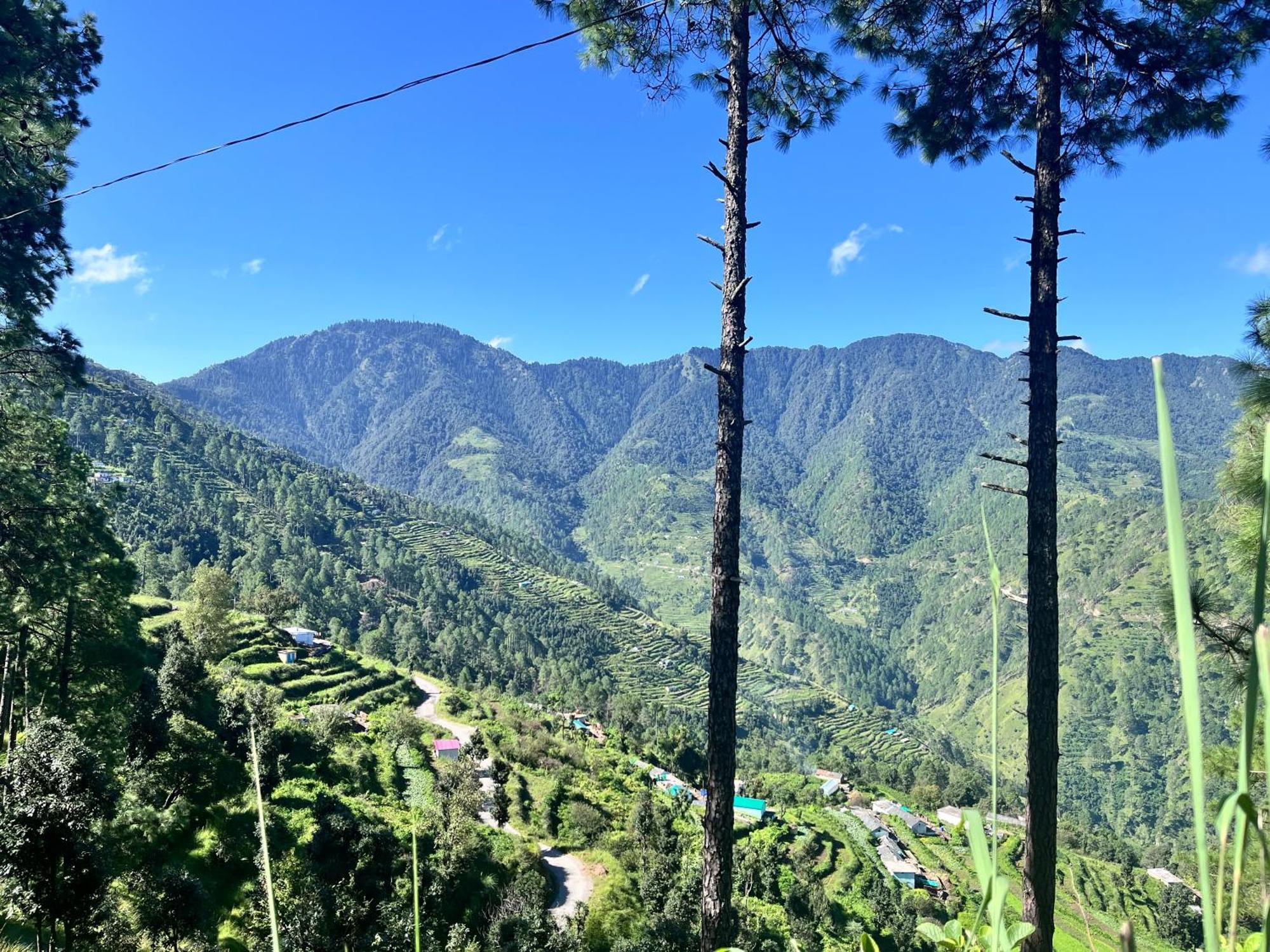 Himalayan Hill Top Resort Kanatal Exterior foto