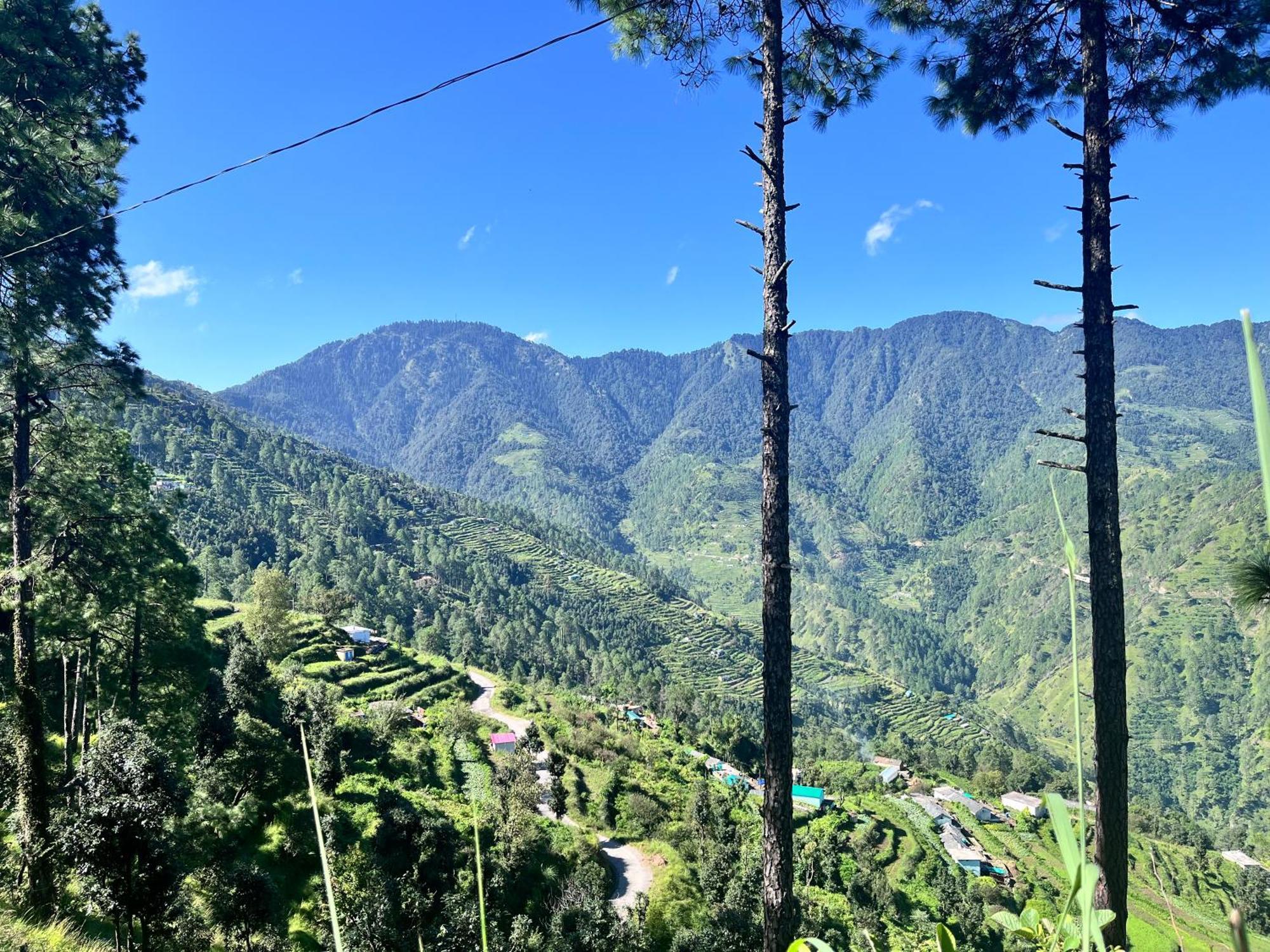 Himalayan Hill Top Resort Kanatal Exterior foto